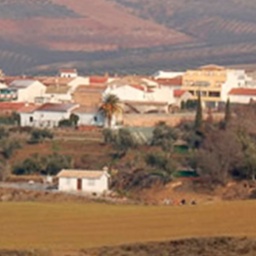Dilar (4)