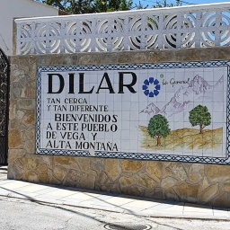 Dilar (5)