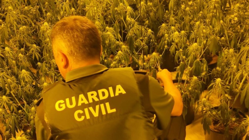 Descubren un importante centro de producción de marihuana en un chalé de Dílar